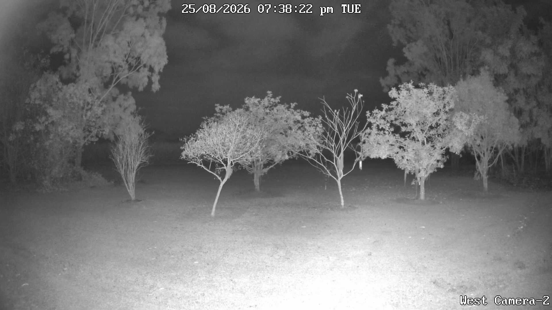 time-lapse frame, KelseyCreek West View webcam