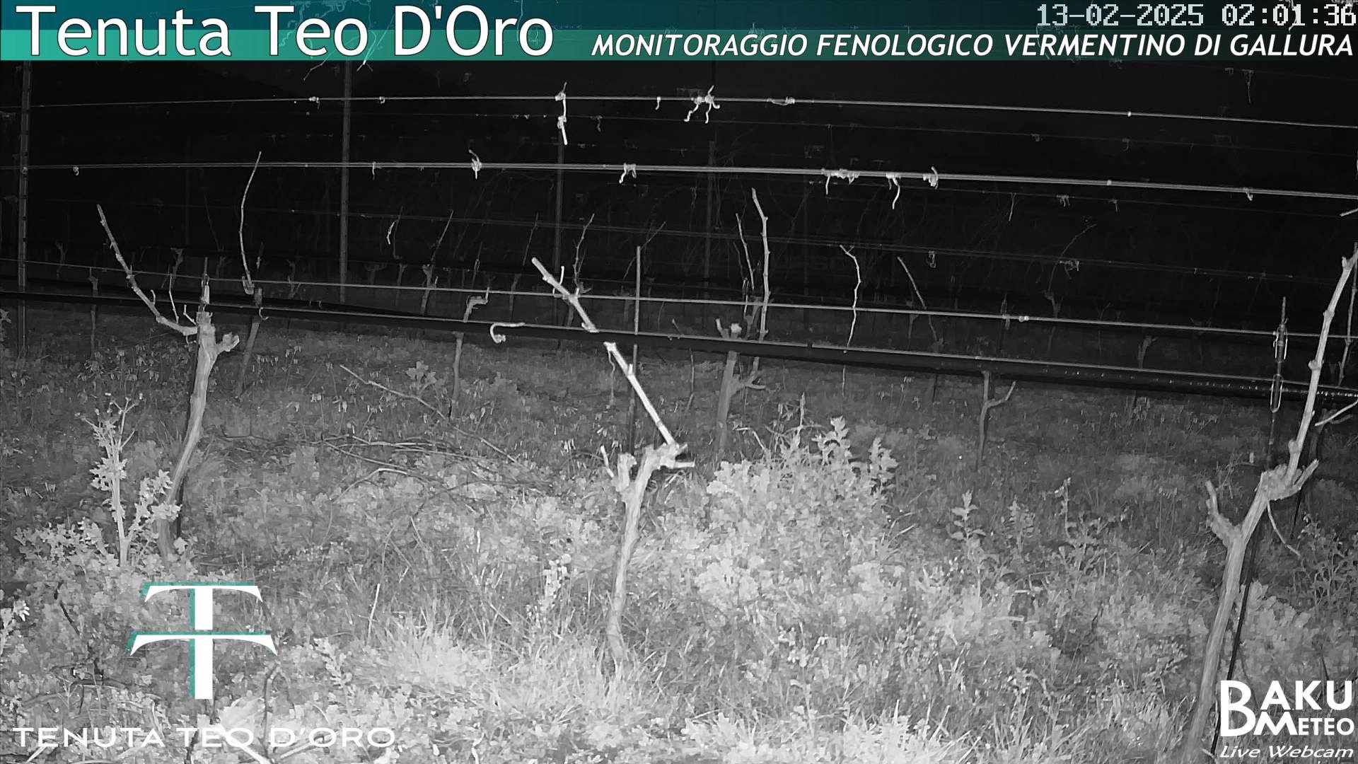 time-lapse frame,  webcam