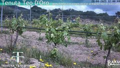 view from Teodoro on 2025-04-28