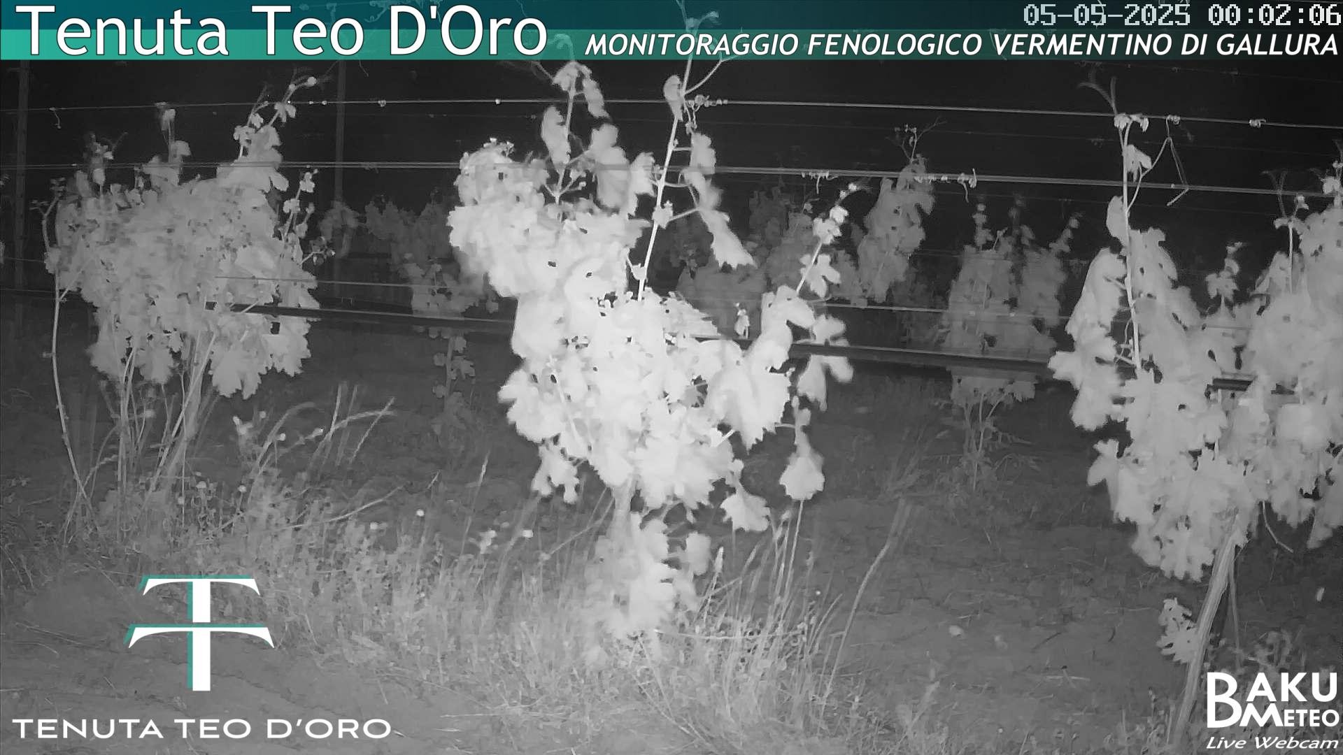 time-lapse frame, Teodoro webcam