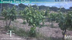 view from Teodoro on 2025-05-06