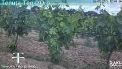 view from Teodoro on 2025-05-16