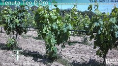 view from Teodoro on 2025-05-19