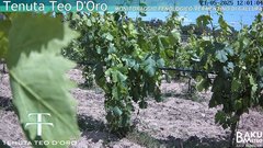 view from Teodoro on 2025-05-21
