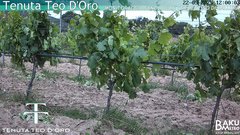 view from Teodoro on 2025-05-22