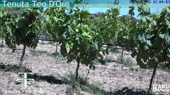 view from Teodoro on 2025-05-25
