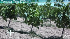 view from Teodoro on 2025-05-29