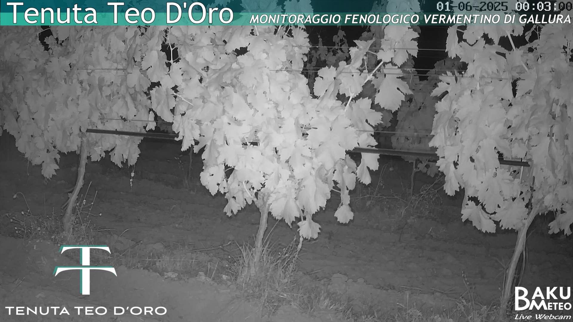time-lapse frame, Teodoro webcam