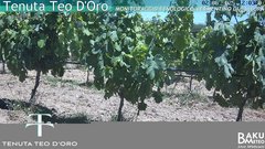 view from Teodoro on 2025-06-02