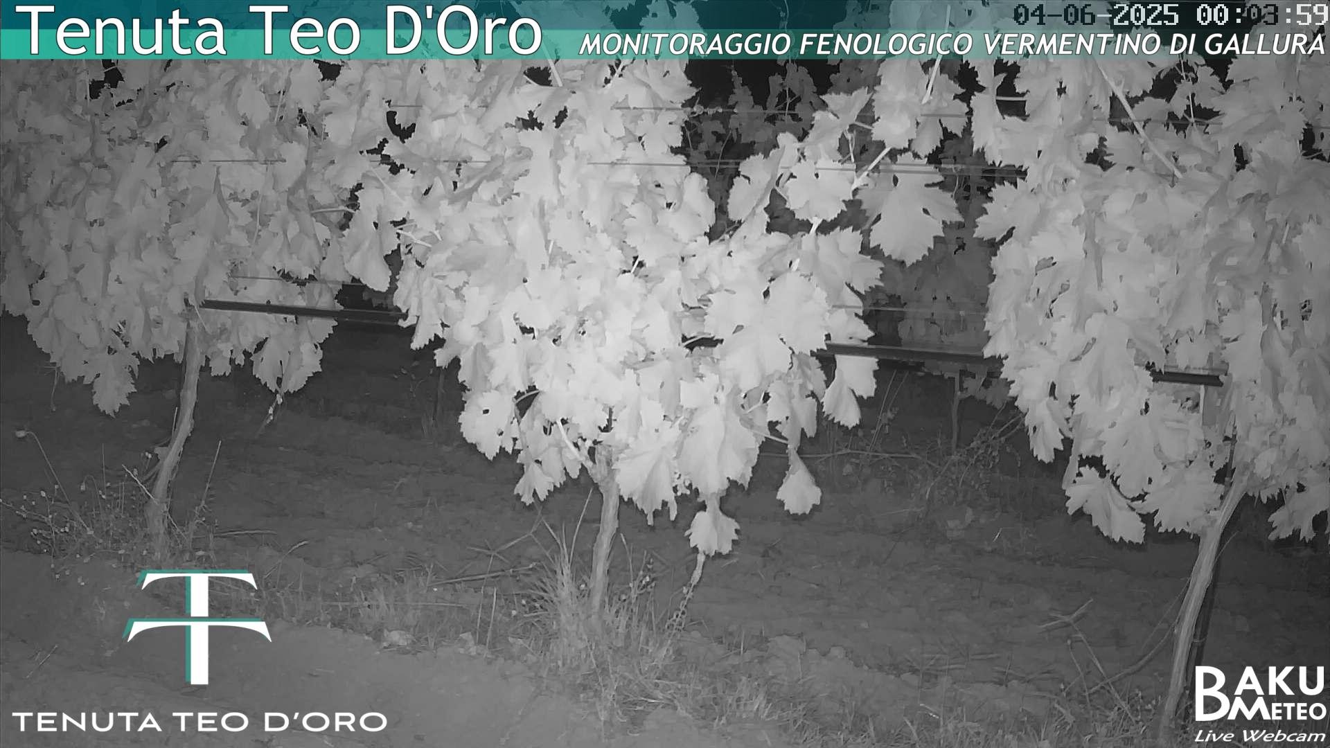 time-lapse frame, Teodoro webcam