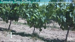 view from Teodoro on 2025-06-08