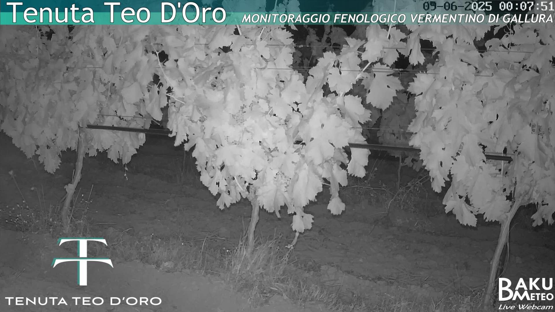 time-lapse frame, Teodoro webcam