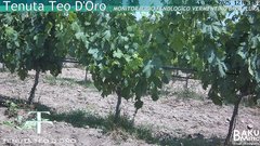 view from Teodoro on 2025-06-10