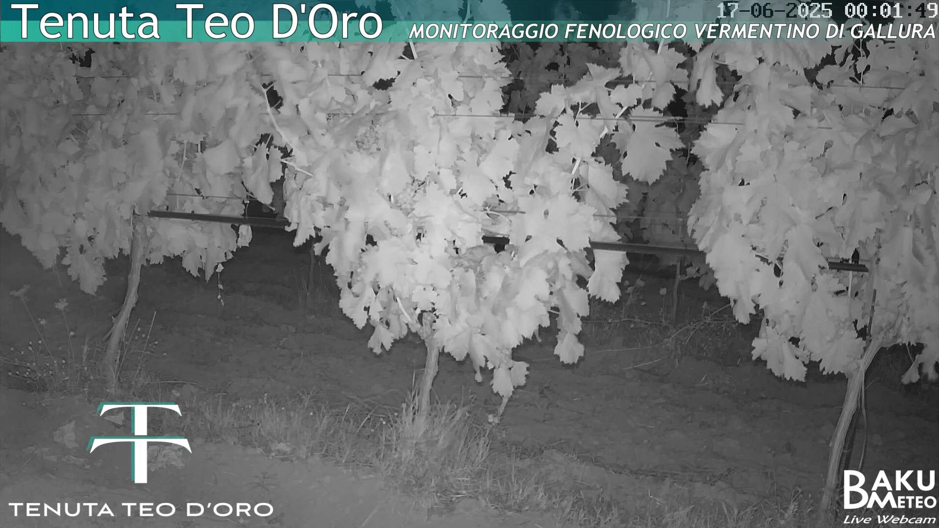 time-lapse frame, Teodoro webcam