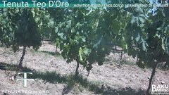 view from Teodoro on 2025-06-19