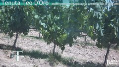 view from Teodoro on 2025-06-21
