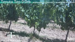view from Teodoro on 2025-06-27