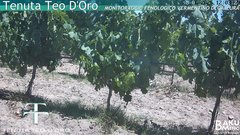 view from Teodoro on 2025-06-28