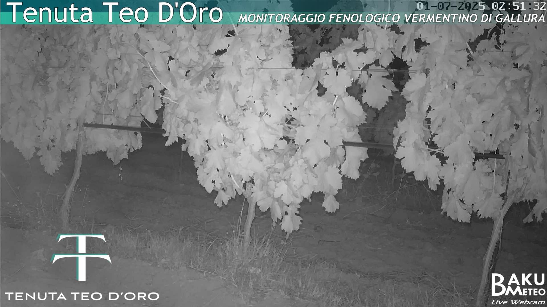 time-lapse frame, Teodoro webcam
