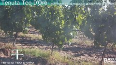 view from Teodoro on 2025-07-01