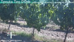 view from Teodoro on 2025-07-01