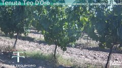 view from Teodoro on 2025-07-01