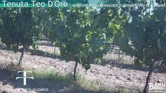view from Teodoro on 2025-07-01