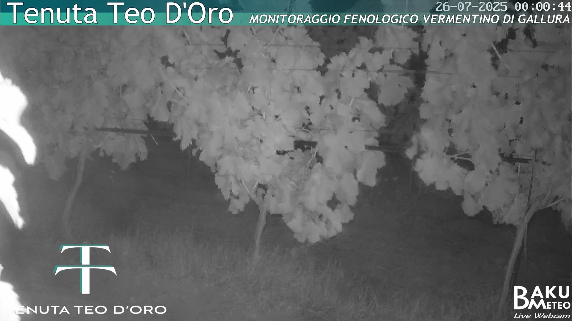 time-lapse frame, Teodoro webcam