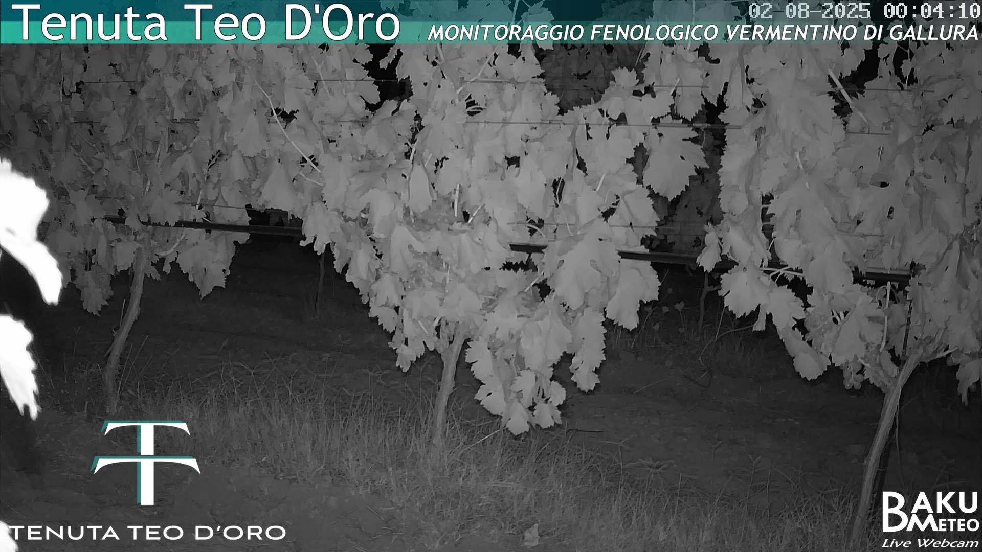 time-lapse frame, Teodoro webcam