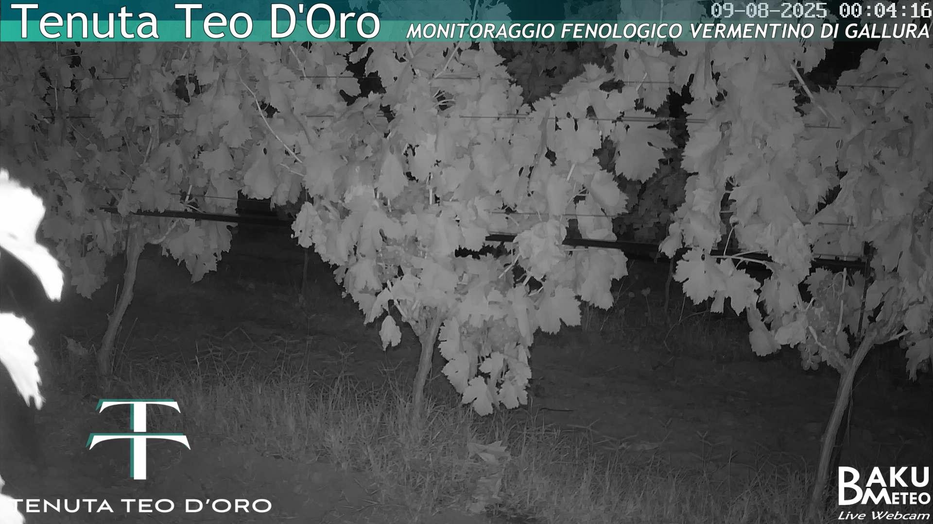 time-lapse frame, Teodoro webcam