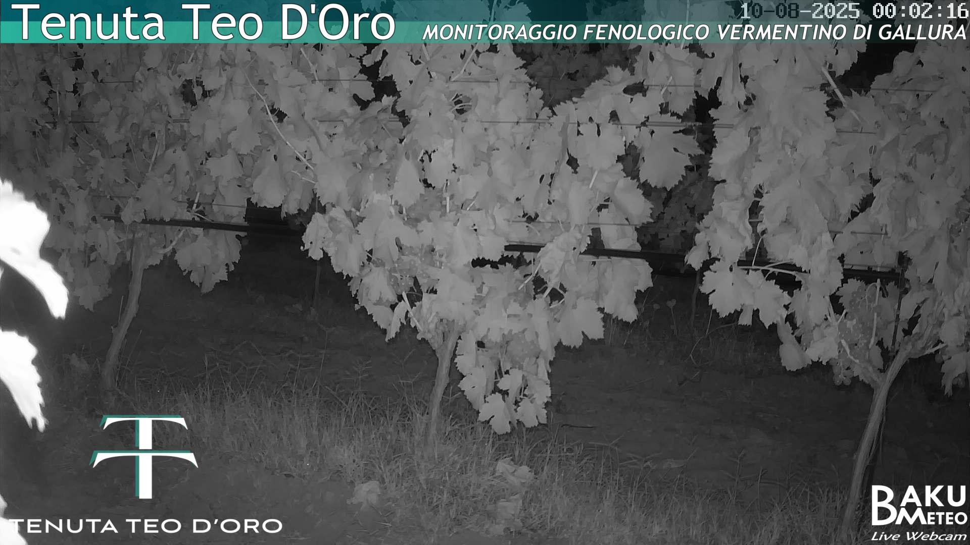 time-lapse frame, Teodoro webcam