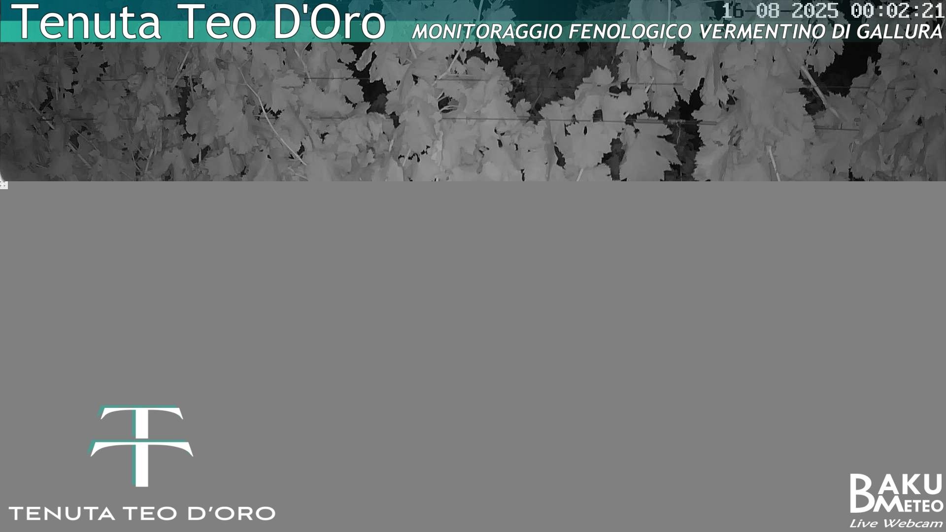 time-lapse frame, Teodoro webcam