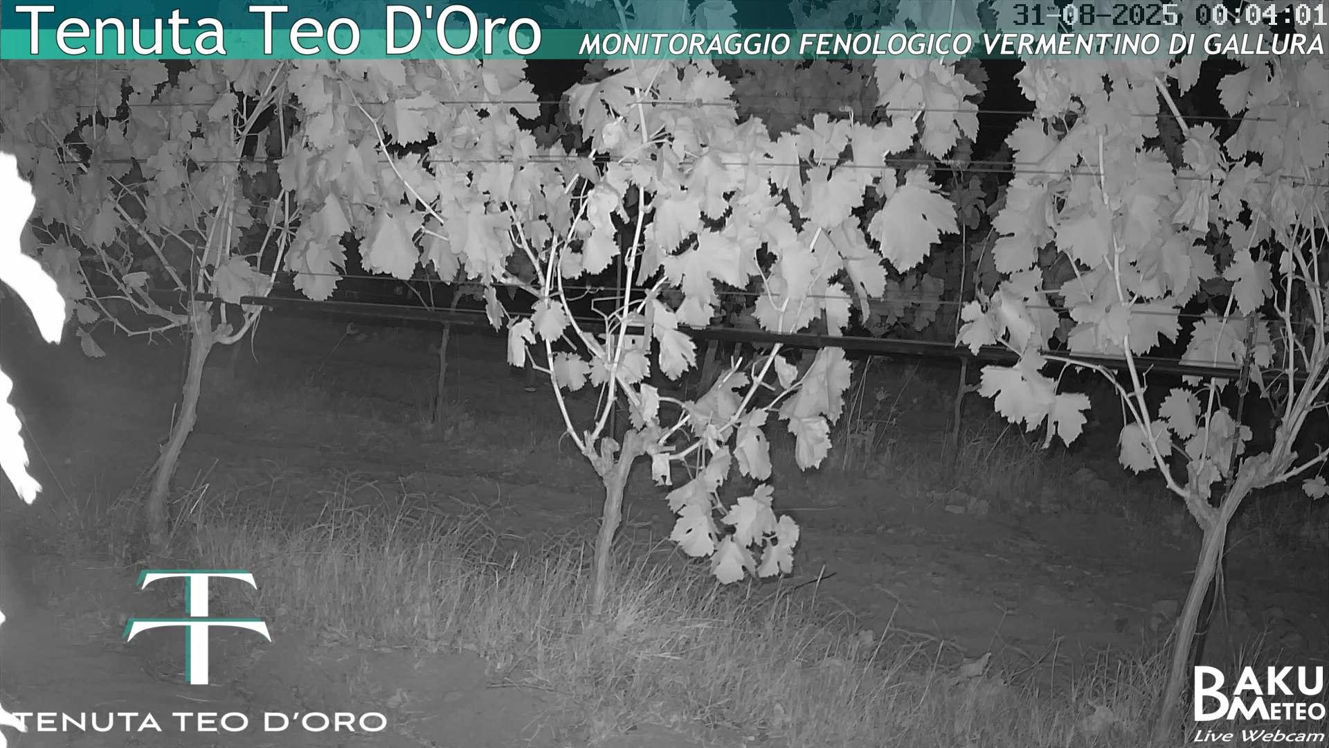 time-lapse frame, Teodoro webcam