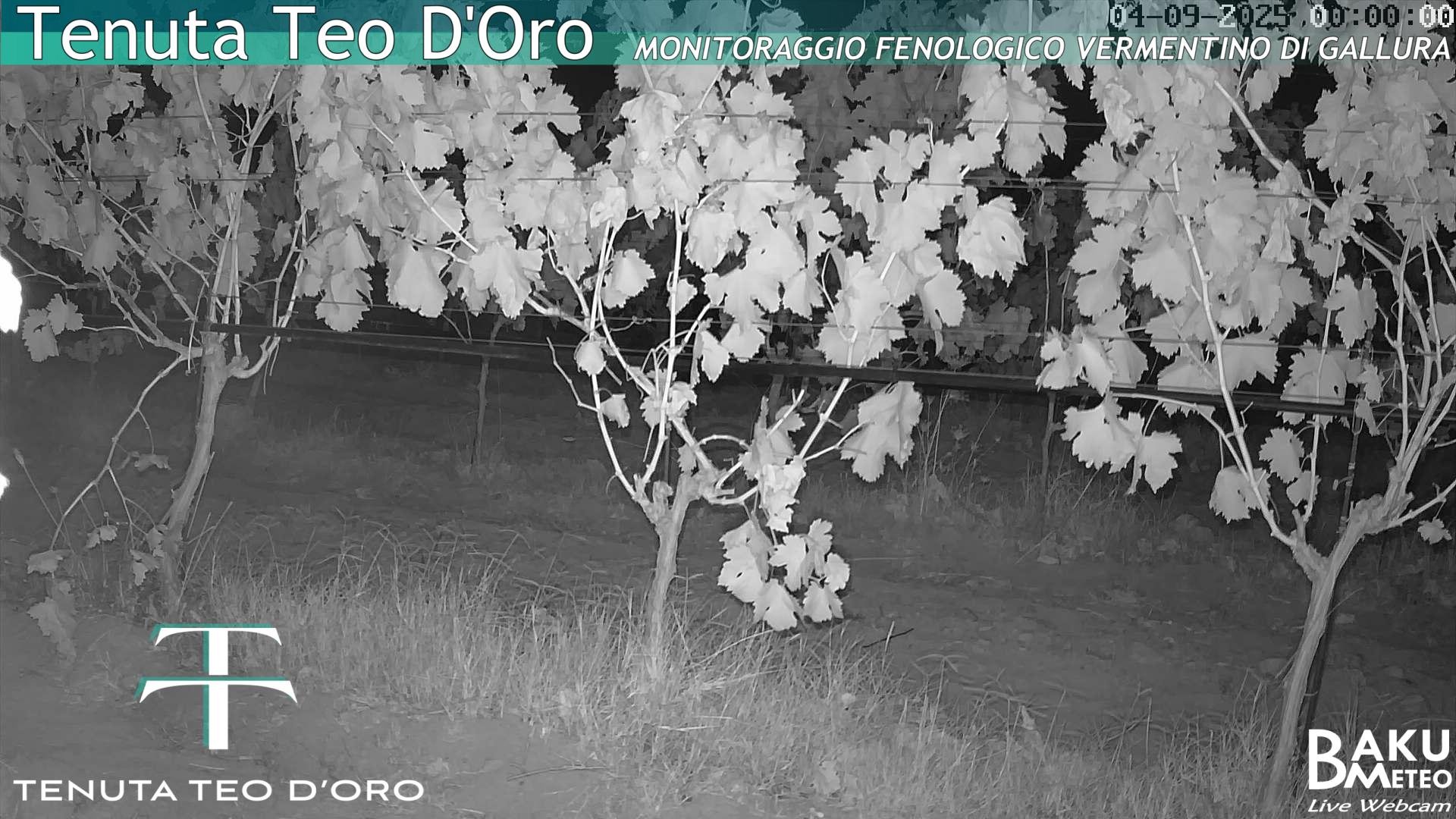 time-lapse frame, Teodoro webcam