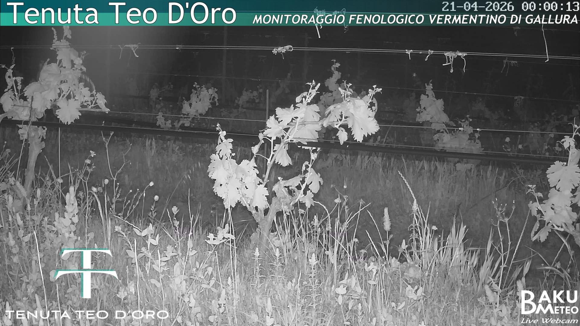 time-lapse frame, Teodoro webcam