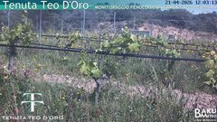 view from Teodoro on 2026-04-21