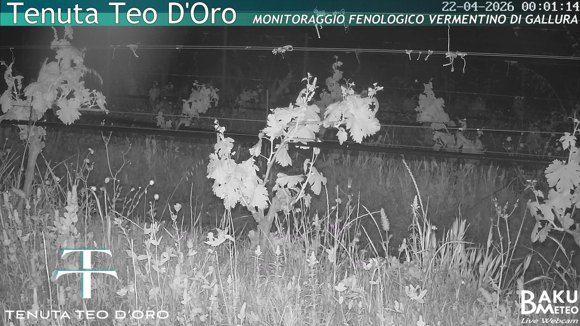 time-lapse frame, Teodoro webcam