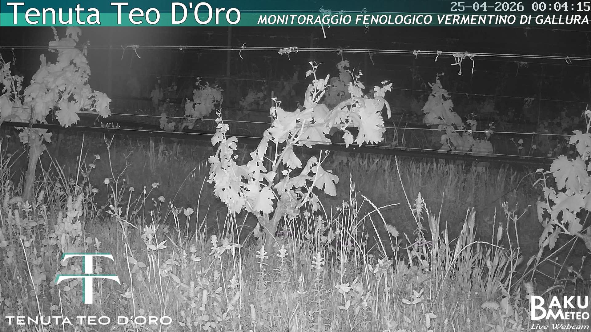 time-lapse frame, Teodoro webcam