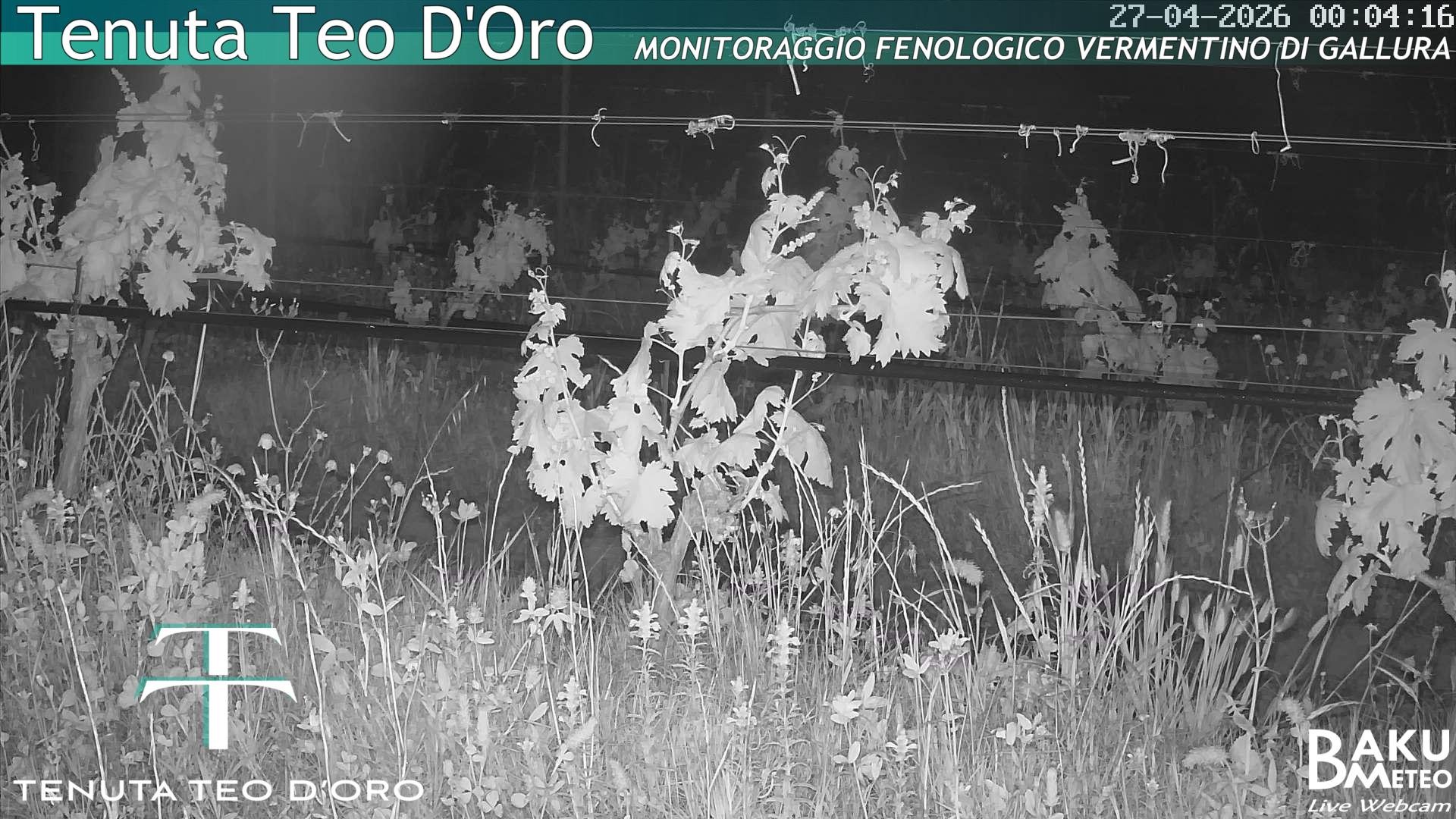 time-lapse frame, Teodoro webcam