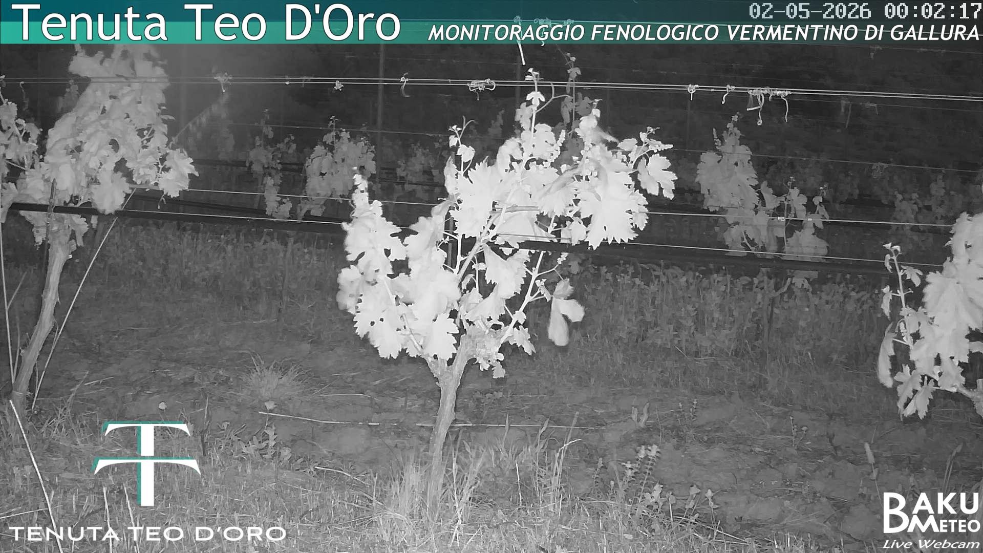 time-lapse frame, Teodoro webcam
