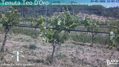 view from Teodoro on 2026-05-03