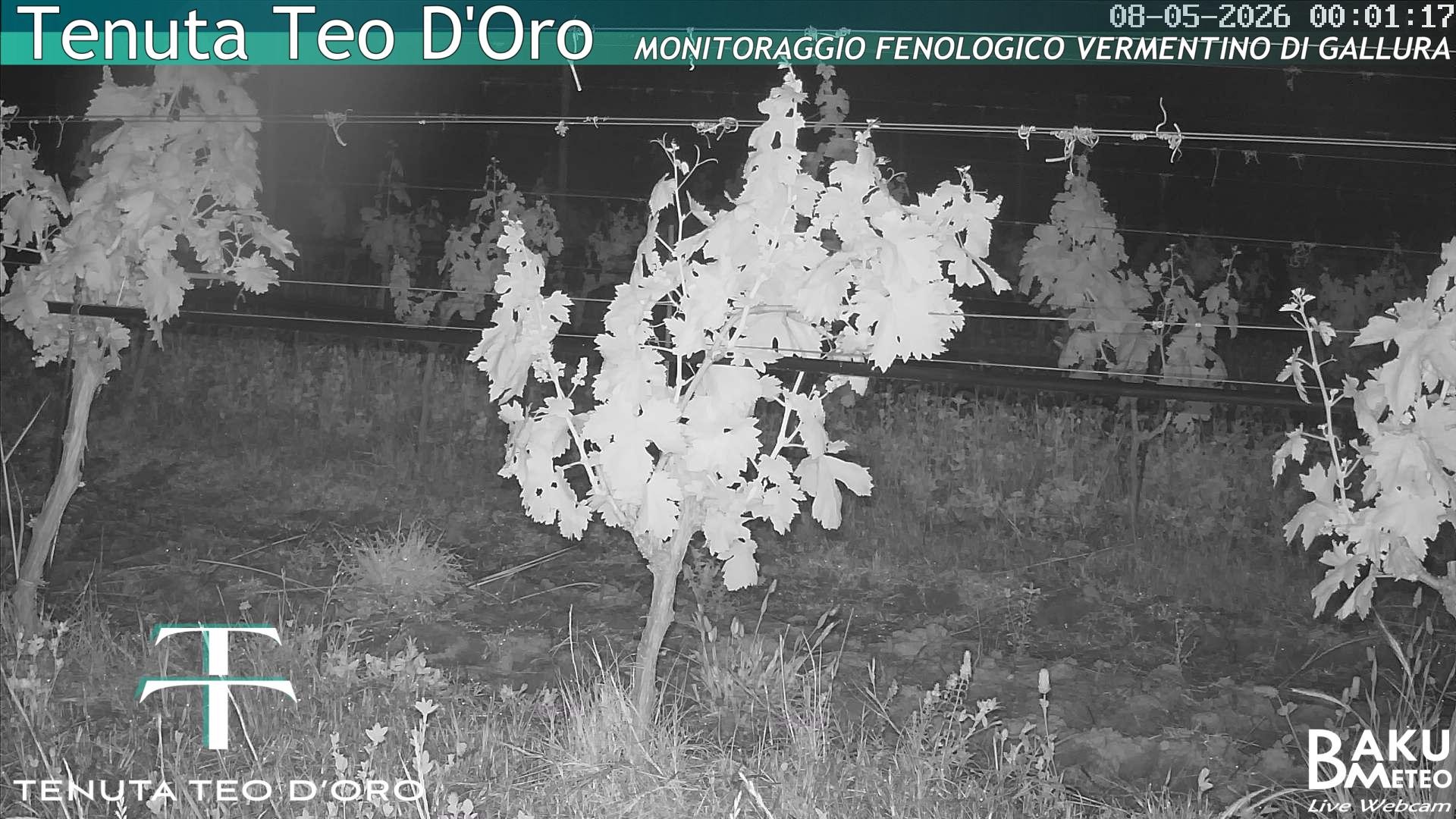 time-lapse frame, Teodoro webcam