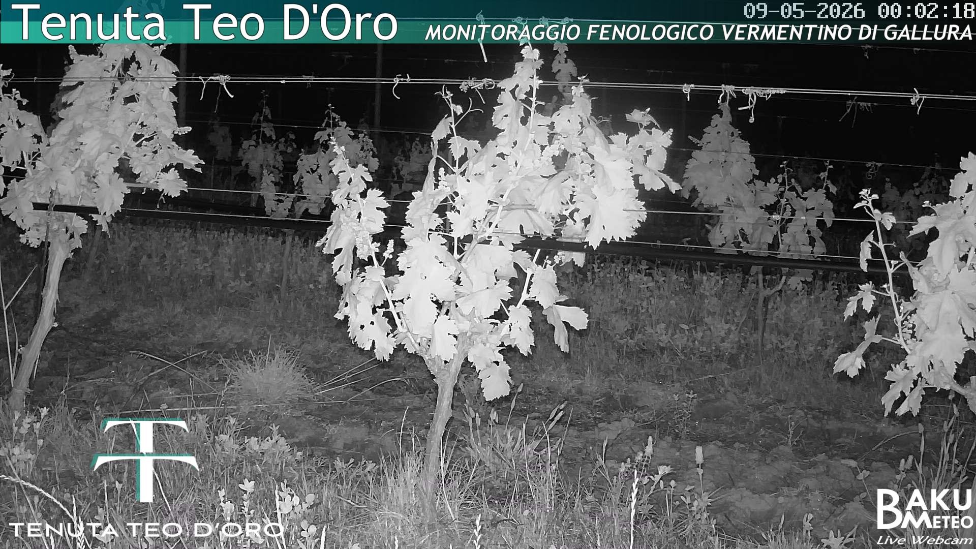 time-lapse frame, Teodoro webcam