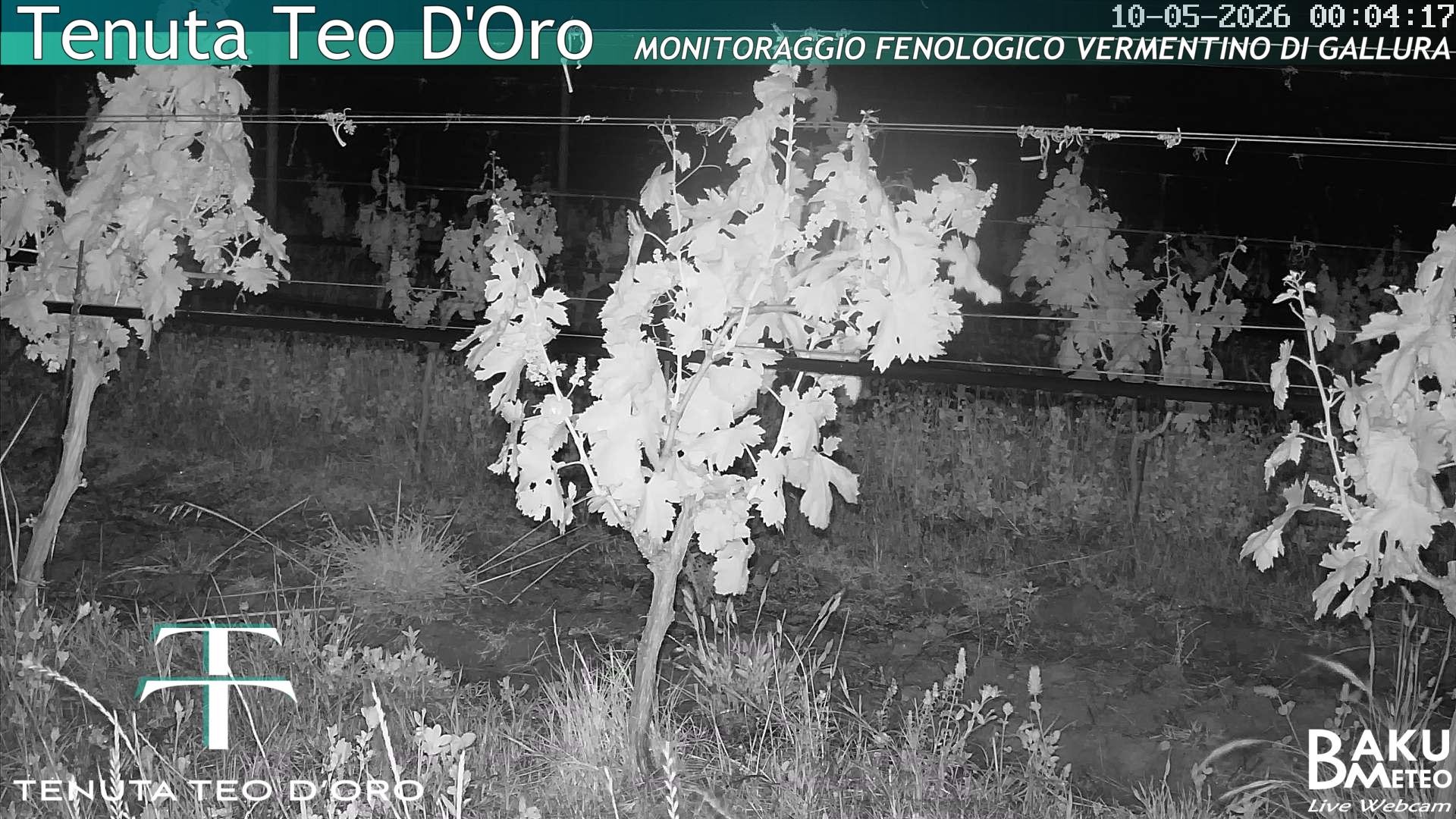 time-lapse frame, Teodoro webcam