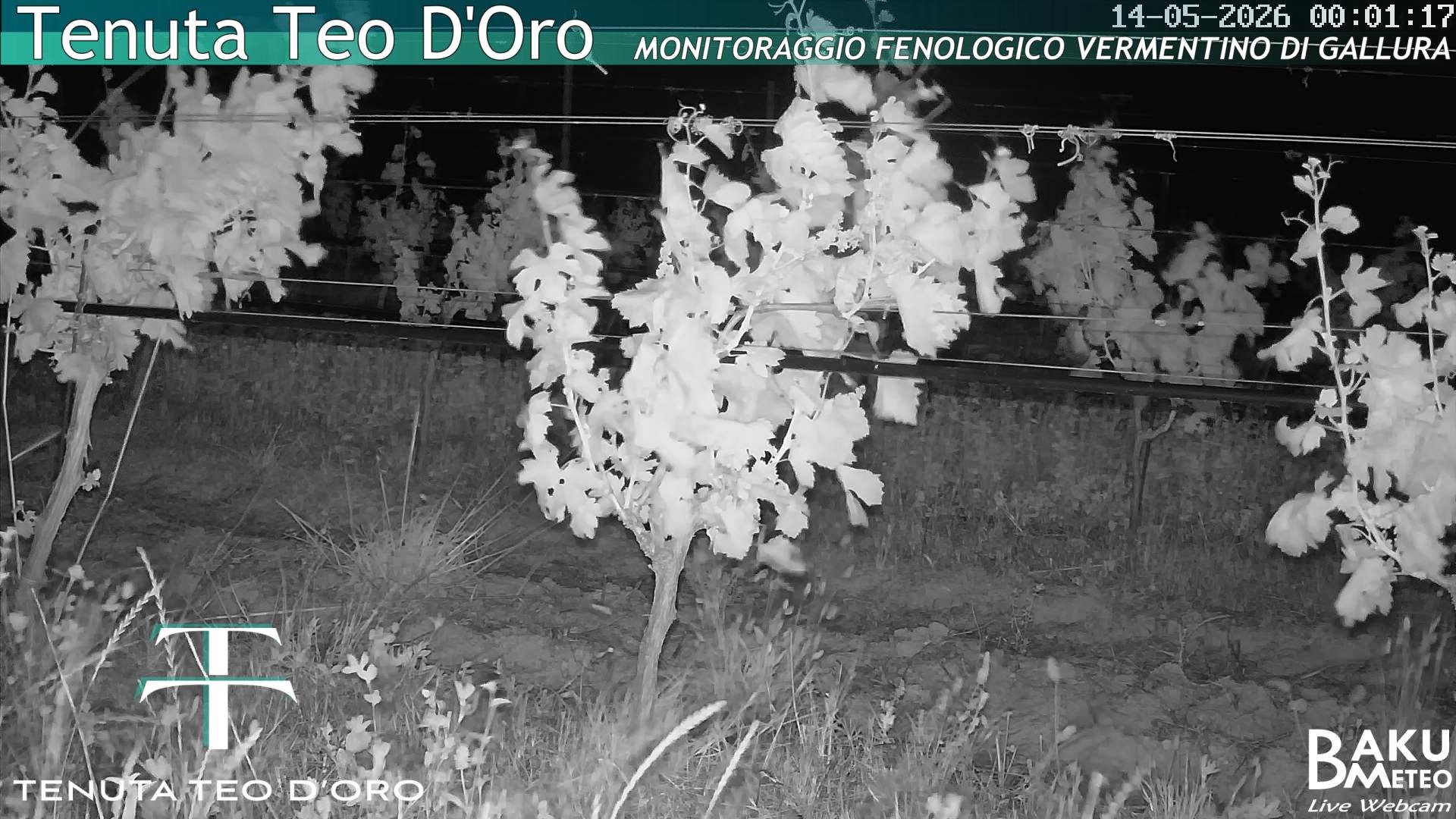 time-lapse frame, Teodoro webcam