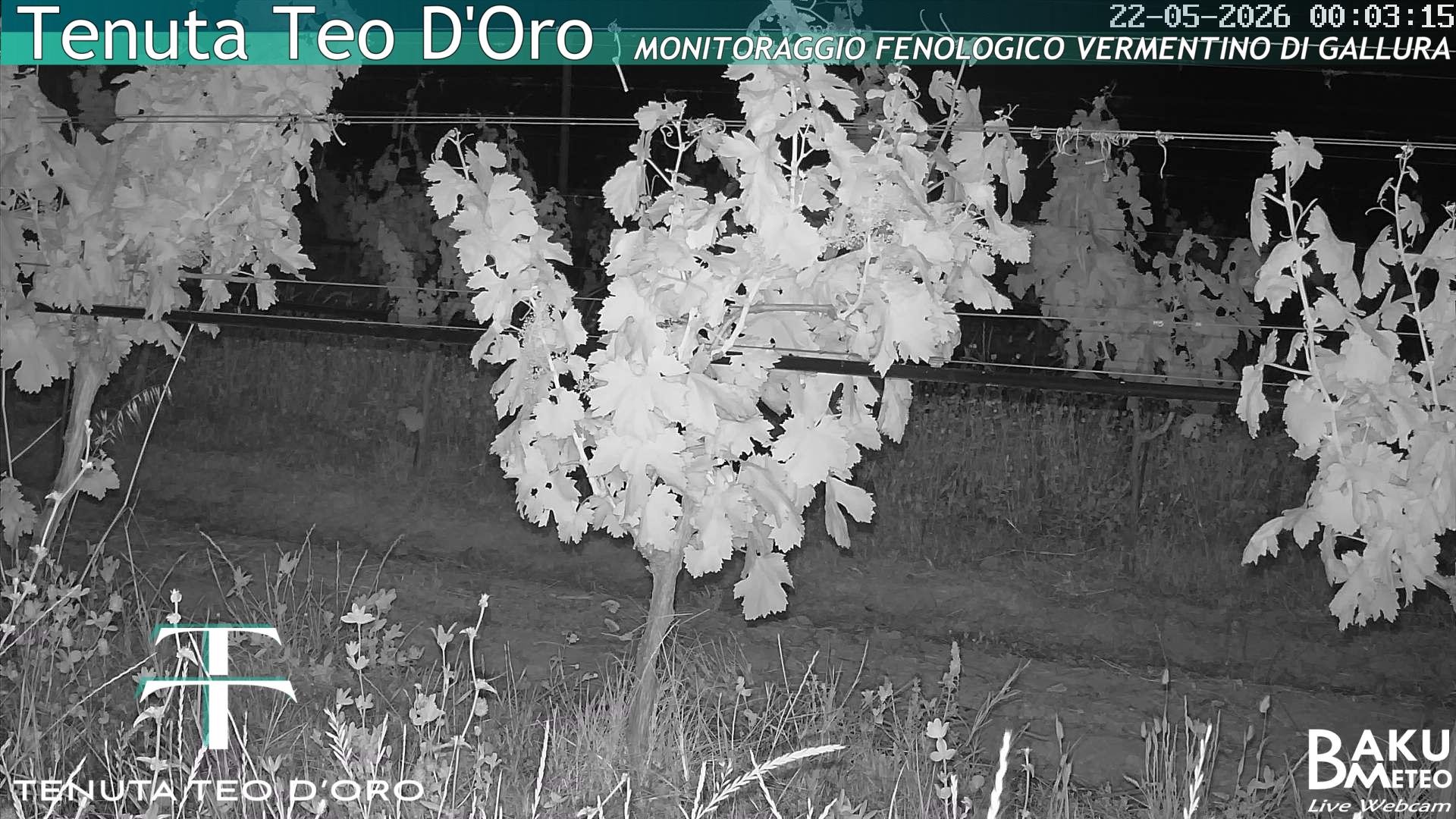 time-lapse frame, Teodoro webcam