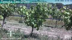 view from Teodoro on 2026-05-23