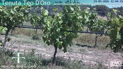 view from Teodoro on 2026-05-24
