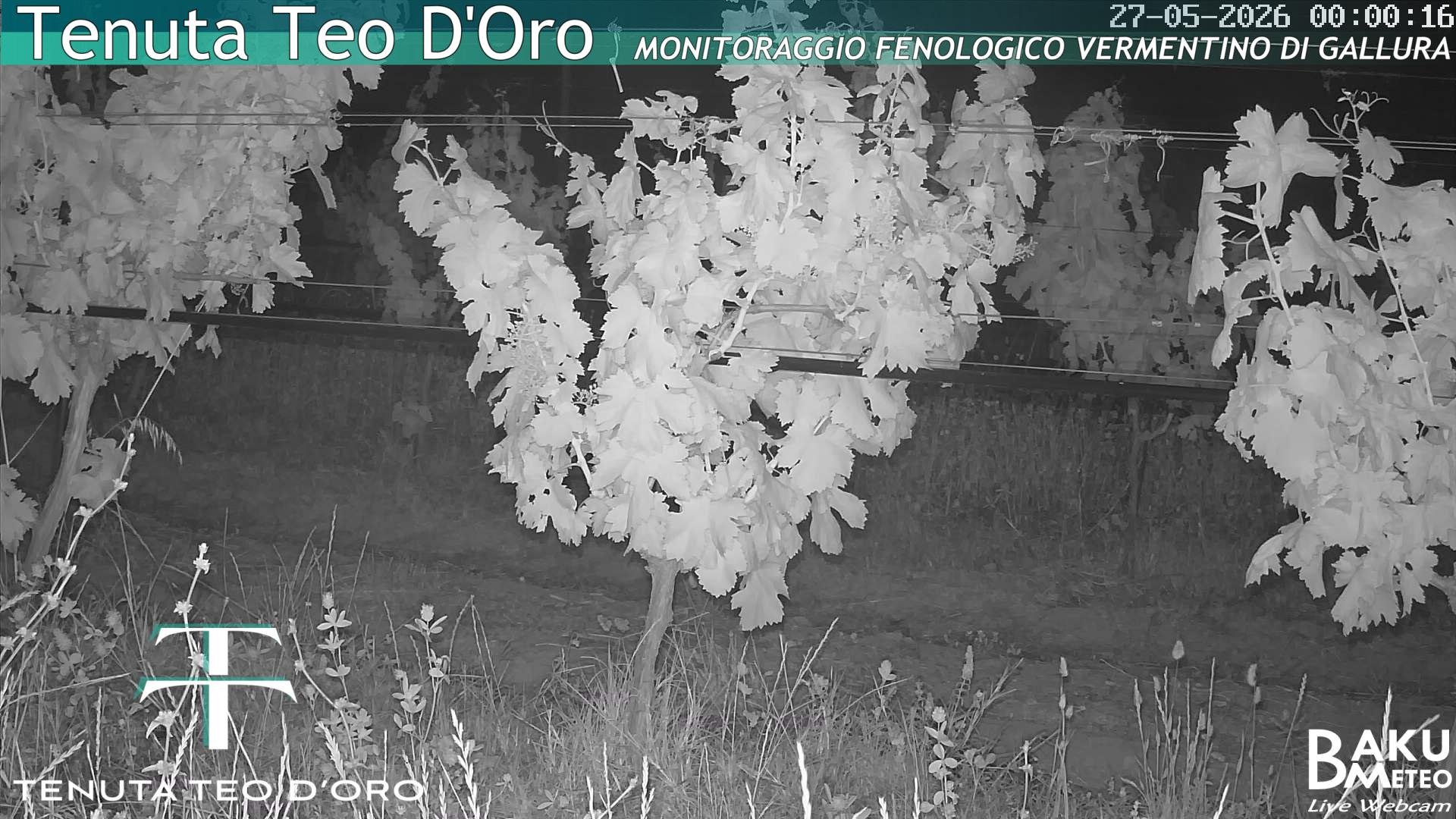 time-lapse frame, Teodoro webcam