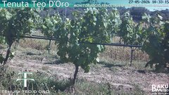 view from Teodoro on 2026-05-27